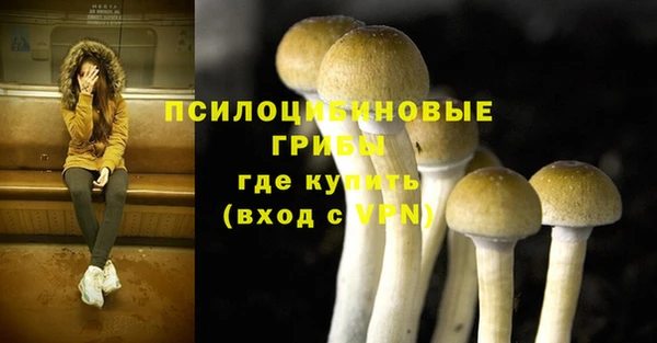 гидра Беломорск