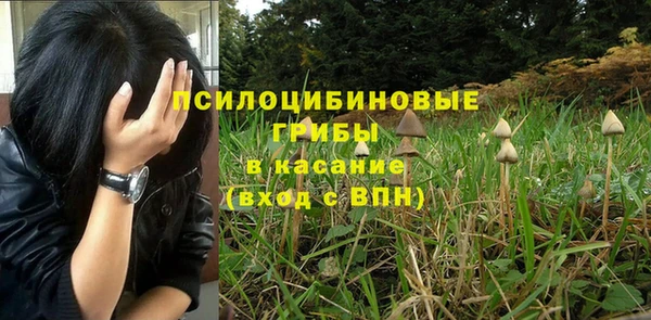 бошки Белокуриха
