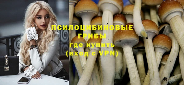 гидра Беломорск
